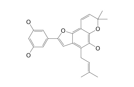 WITTIFURAN-B