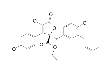 BUTYROLACTONE-VII