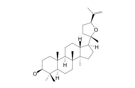 (20S,24S)-EPOXY-25(26)-EN-DAMMARAN-3-OL