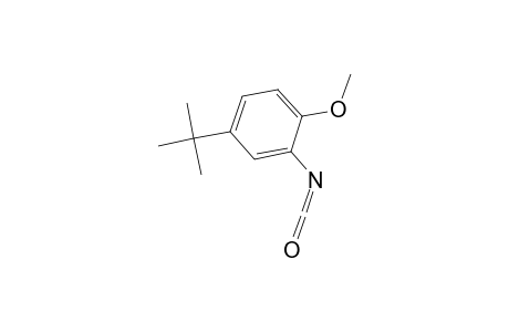 5-tert-Butyl-2-methoxyphenyl isocyanate