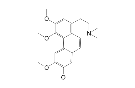 Lauroscholtzine-M/artifact ME