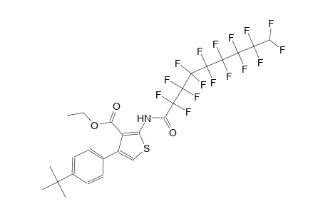 ethyl 4-(4-tert-butylphenyl)-2-[(2,2,3,3,4,4,5,5,6,6,7,7,8,8,9,9-hexadecafluorononanoyl)amino]-3-thiophenecarboxylate