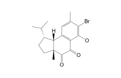 HAMIGERAN-B