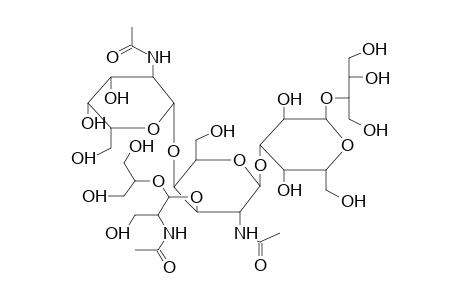 OLIGOSACCHARIDE 2 (FROM CITROBACTER O32)