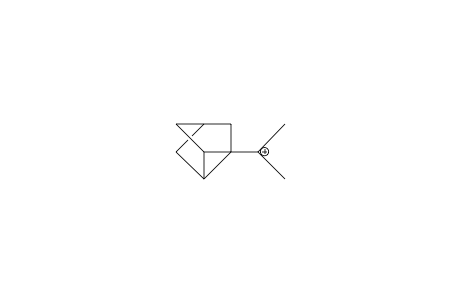 Dimethyl-nortricyclyl-carbinyl cation