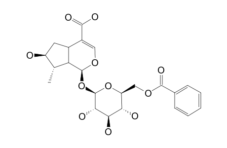 AQUATICOSIDE-A;6'-O-BENZOYL-8-EPILOGANIC-ACID