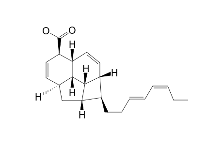 ERYTHROPHLOIN_E