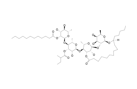 PESCAPREIN_VI