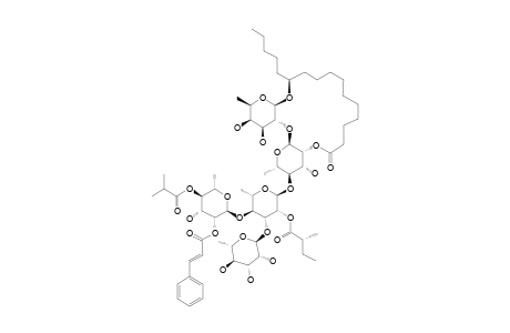 #2;(11S)-[[O-ALPHA-L-RHAMNOPYRANOSYL-(1->3)-O-[(2-O-(TRANS)-CINNAMOYL)-(4-O-ISOBUTANOYL)-ALPHA-L-RHAMNOPYRANOSYL-(1->4)]-O-2-O-(2S)-METHYLBUTHANOYL-ALPH