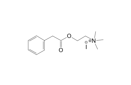 PHENYLACETYLCHOLINE