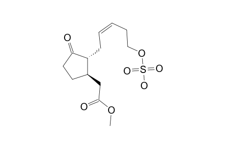 5'-(HYDROXYSULPHONYLOXY)-JASMONIC-ACID-METHYLESTER