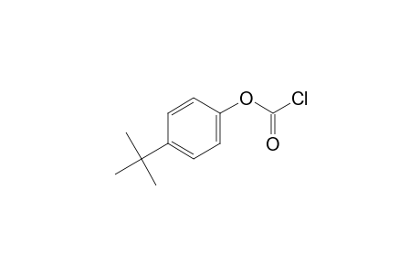 p-tert-BUTYLPHENOL, CHLOROFORMATE