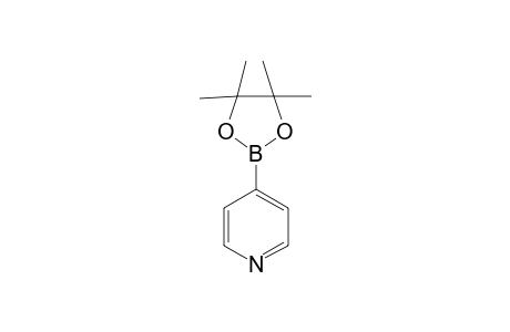 4-Pyridineboronic acid pinacol ester