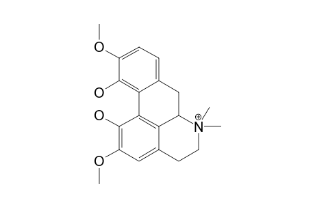 Magnoflorine