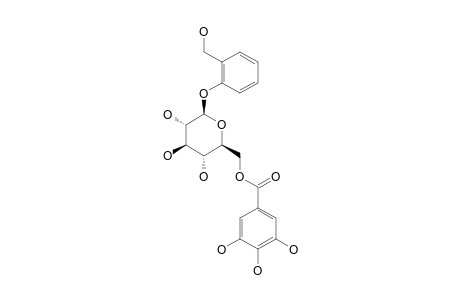 6'-O-GALLOYL-SALICIN