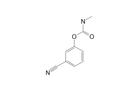 META-CYANOPHENYL-N-METHYLCARBAMATE