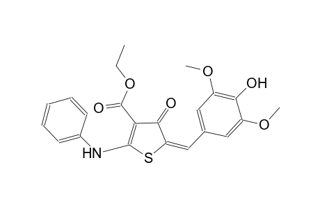 ethyl (5E)-2-anilino-5-(4-hydroxy-3,5-dimethoxybenzylidene)-4-oxo-4,5-dihydro-3-thiophenecarboxylate