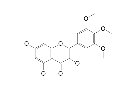 MYRICETIN_3',4',5'-TRIMETHYLETHER