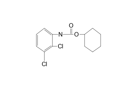 2,3-dichlorocarbanilic acid, cyclohexyl ester