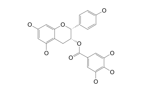 (-)-EPIAFZELECHIN-3-O-GALLATE