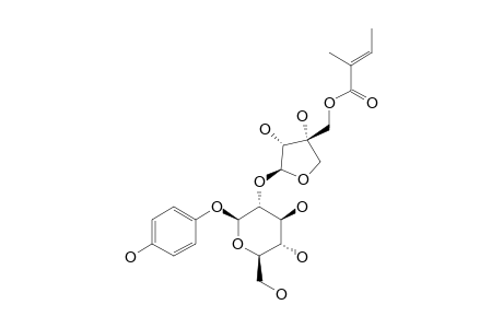 SEGUINOSIDE-G