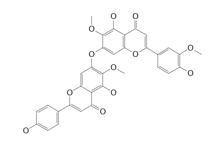 4',4''',5,5''-TETRAHYDROXY-6,6'',3'''-TRIMETHOXY-[C7-O-C7'']-BIFLAVONE