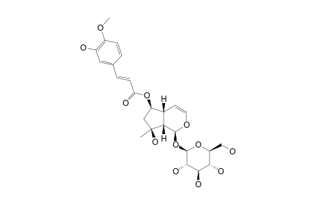 6-O-ISOFERULOYL-AJUGOL