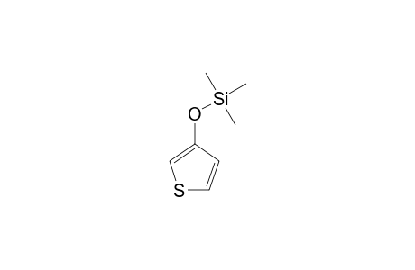 3-[(TRIMETHYLSILYL)-OXY]-THIOPHENE