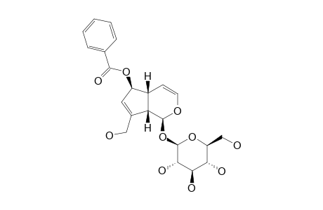 DERWENTIOSIDE-A;6-O-BENZOYL-AUCUBIN