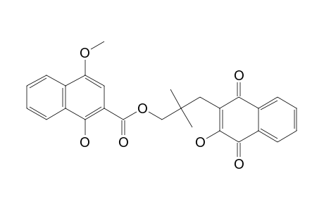 RHINACHANTIN-N