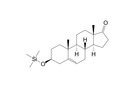 Prasterone TMS