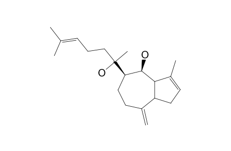 DICTYOL-E