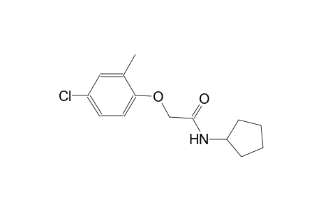 2-(4-chloro-2-methylphenoxy)-N-cyclopentylacetamide