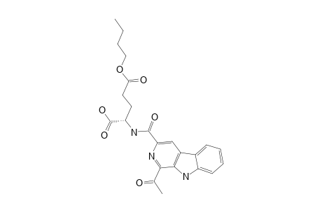 DICHOTOMINE_XIII