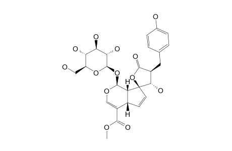 DUNNISINOSIDE