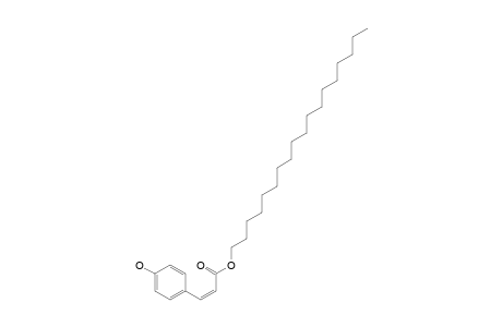 (Z)-OCTADECYL-PARA-COUMARATE