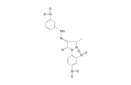 1-(2,4-DINITROPHENYL)-3-METHYLPYRAZOLE-4,5-DIONE, 4-[(m-NITROPHENYL)HYDRAZONE]