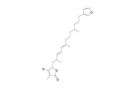 SESTERTERPENE-TETRAONIC-ACID