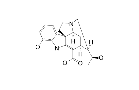 SCHOLARICINE