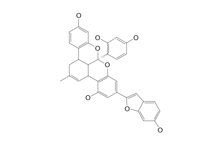 MULBERROFURAN-G