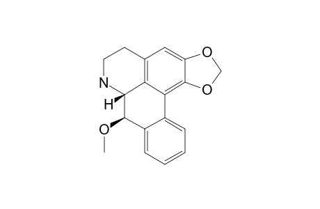 Pachypodanthin