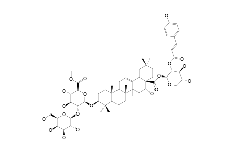 TRAGOPOGONOSIDE-G;3-O-BETA-[GALACTOPYRANOSYL-(1->2)-(6-O-METHYL)-GLUCURONOPYRANOSYL]-ECHINOCYSTIC-ACID-28-O-[2-COUMAROYLOXY-XYLOPYRANOSYL]-ESTER