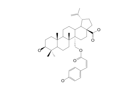 27-O-CIS-PARA-COUMAROYL-CYLICODISCIC-ACID