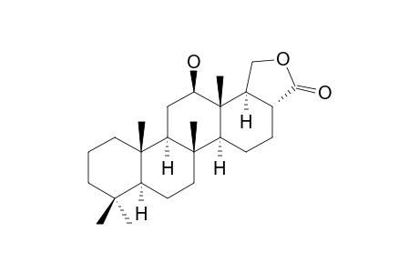 HIPPOSPONGIDE-B