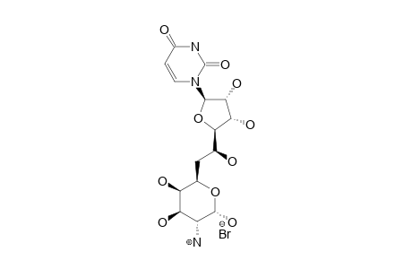 TUNICAMINYL-URACIL;1-BETA-(10'-AMINO-6',10'-DIDEOXY-ALPHA-L-GALACTO-D-ALLO-UNDECODIALDO-7',11'-PYRANOSE-1',4'-FURANOSYL)-URACIL-HYDROBROMIDE