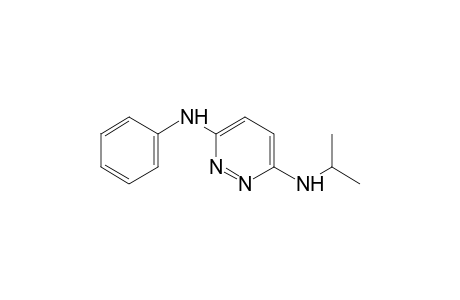 3-anilino-6-(isopropylamino)pyridazine