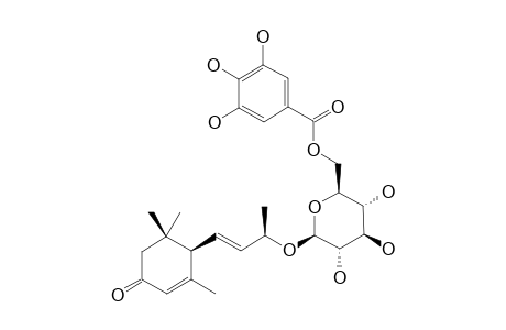 MACARANGIOSIDE-E;(6-R,9-R)-3-OXO-ALPHA-IONOL-9-O-[6'-O-GALLOYL]-BETA-D-GLUCOPYRANOSIDE