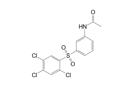 3'-[(2,4,5-TRICHLOROPHENYL)SULFONYL]ACETANILIDE