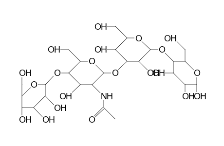 Lacto-N-neotraose