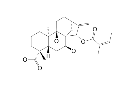 ENT-15-BETA-ANGELOYLOXY-7-ALPHA,9-ALPHA-DIHYDROXY-KAUR-16-EN-19-OIC-ACID